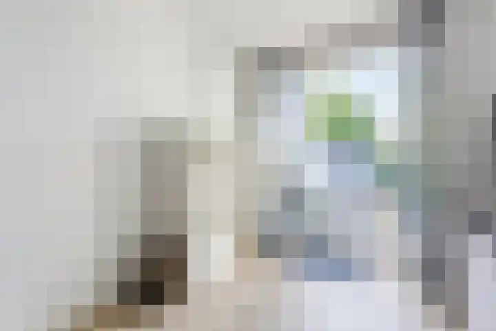 Ds. Van de Woestijnehof 103 Barneveld thumbnail 6