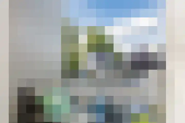 Ds. Van de Woestijnehof 103 Barneveld thumbnail 7
