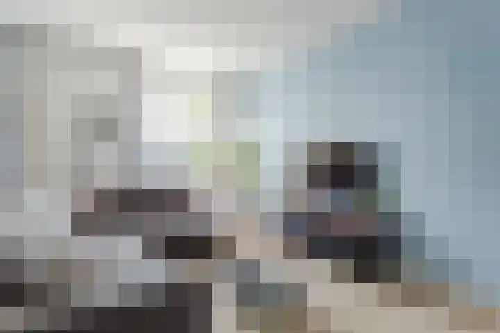 Ds. Van de Woestijnehof 103 Barneveld thumbnail 8