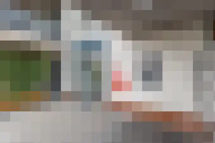 Ds. Van de Woestijnehof 124 Barneveld thumbnail 10