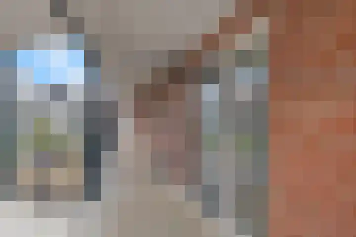 Ds. Van de Woestijnehof 124 Barneveld thumbnail 13