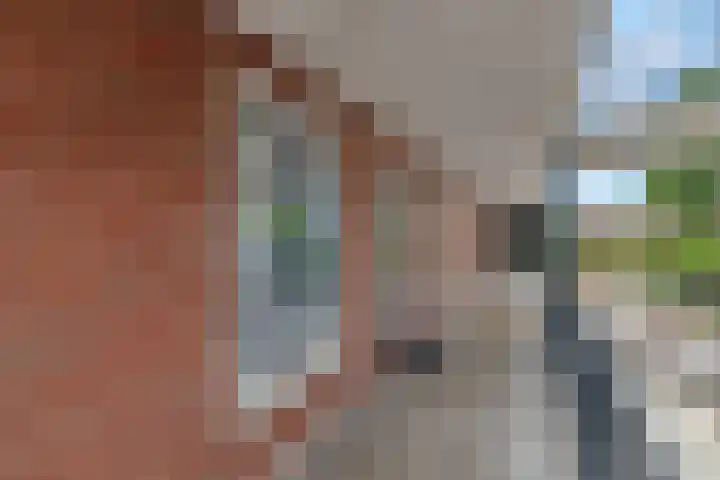 Ds. Van de Woestijnehof 124 Barneveld thumbnail 14