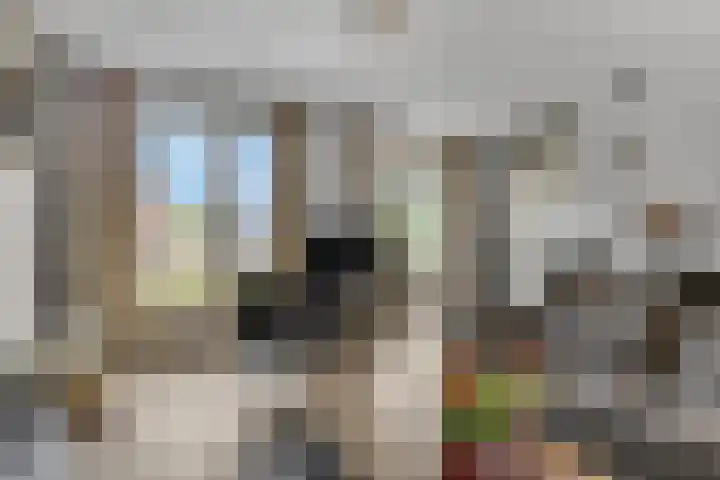 Ds. Van de Woestijnehof 124 Barneveld thumbnail 17