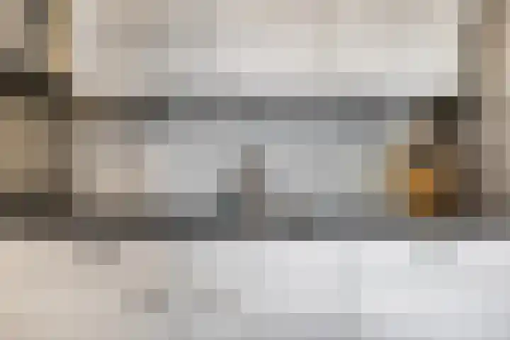 Ds. Van de Woestijnehof 124 Barneveld thumbnail 24