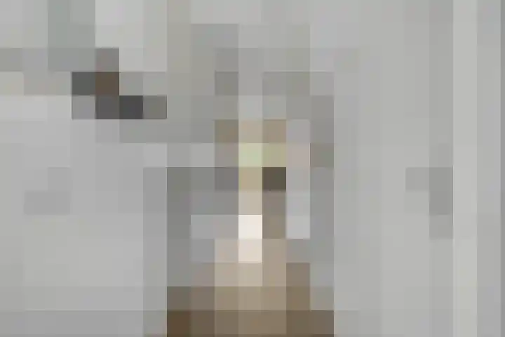 Ds. Van de Woestijnehof 124 Barneveld thumbnail 25
