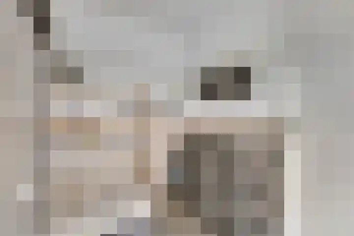 Ds. Van de Woestijnehof 124 Barneveld thumbnail 31