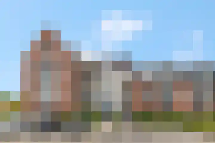 Ds. Van de Woestijnehof 124 Barneveld thumbnail 6