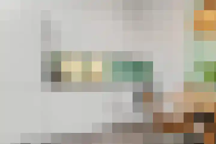 Ds. Van de Woestijnehof 203 Barneveld thumbnail 13