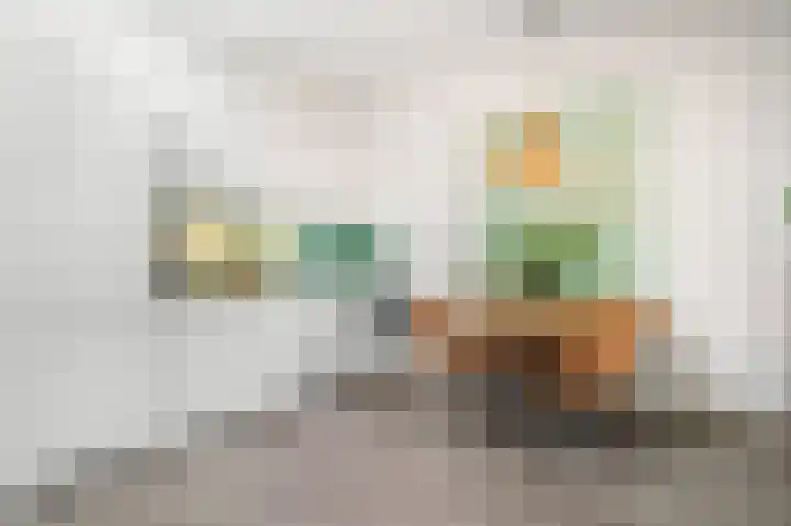 Ds. Van de Woestijnehof 203 Barneveld thumbnail 14
