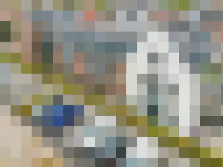 Ds. Van de Woestijnehof 203 Barneveld thumbnail 6
