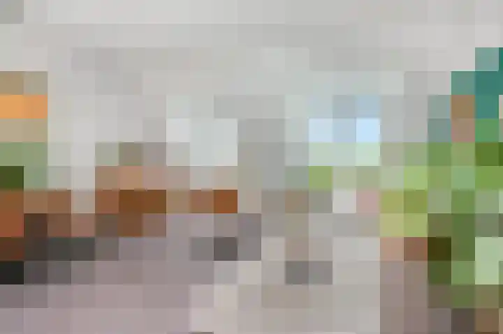 Ds. Van de Woestijnehof 203 Barneveld thumbnail 9