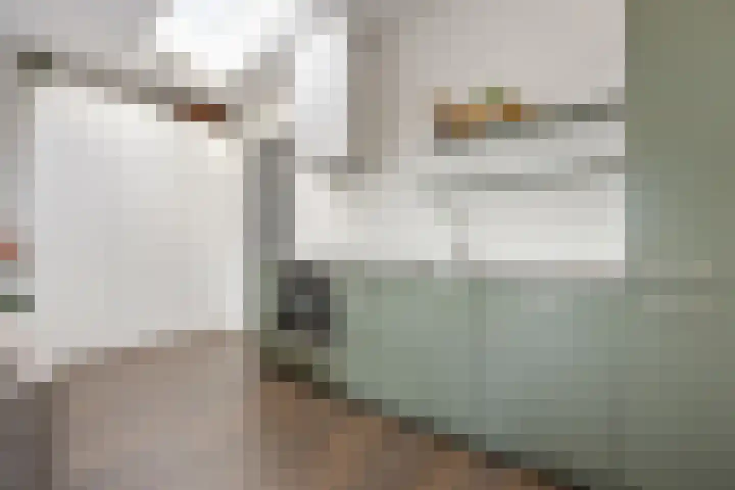 Ds. Van de Woestijnehof 207 Barneveld thumbnail 12