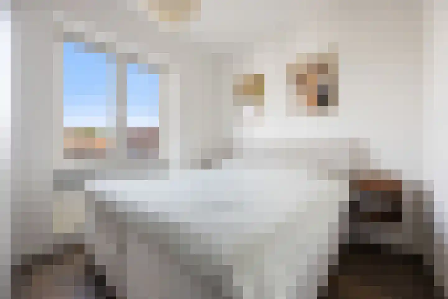 Ds. Van de Woestijnehof 207 Barneveld thumbnail 14