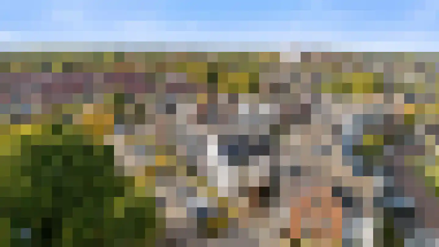 Ds. Van de Woestijnehof 207 Barneveld thumbnail 20