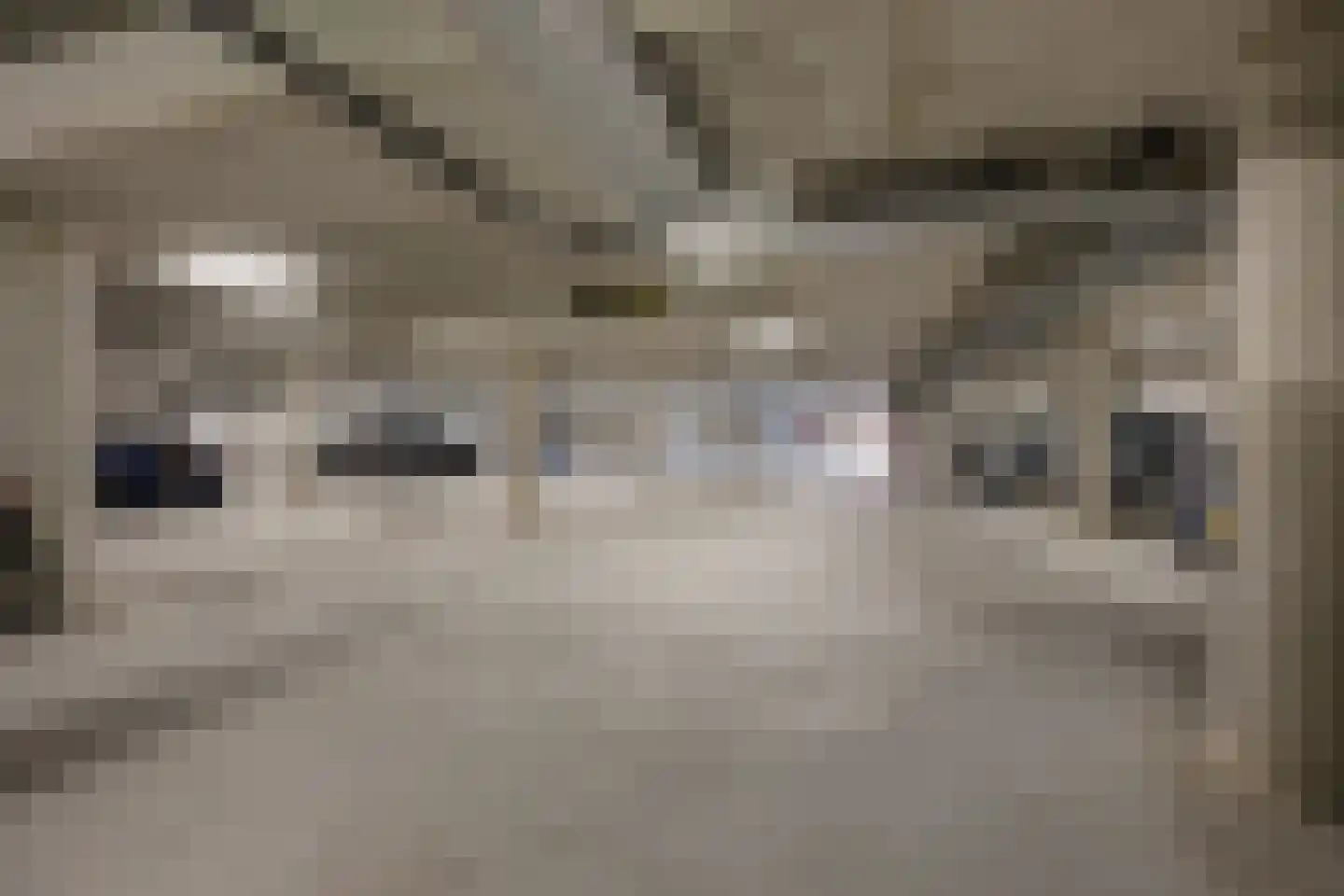 Ds. Van de Woestijnehof 207 Barneveld thumbnail 26