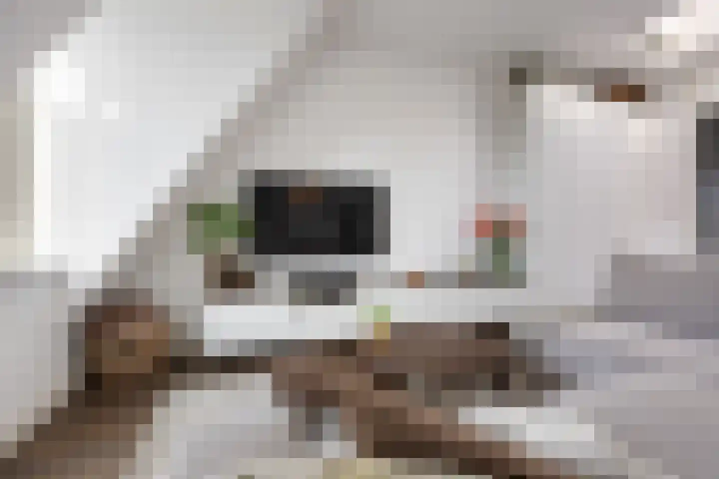 Ds. Van de Woestijnehof 207 Barneveld thumbnail 5