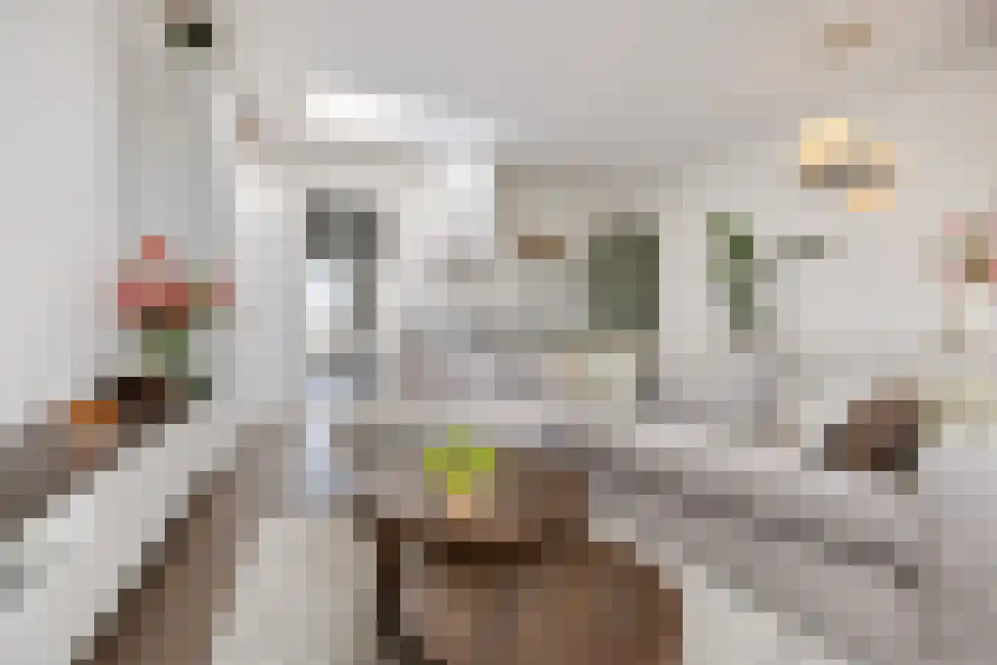 Ds. Van de Woestijnehof 207 Barneveld thumbnail 6