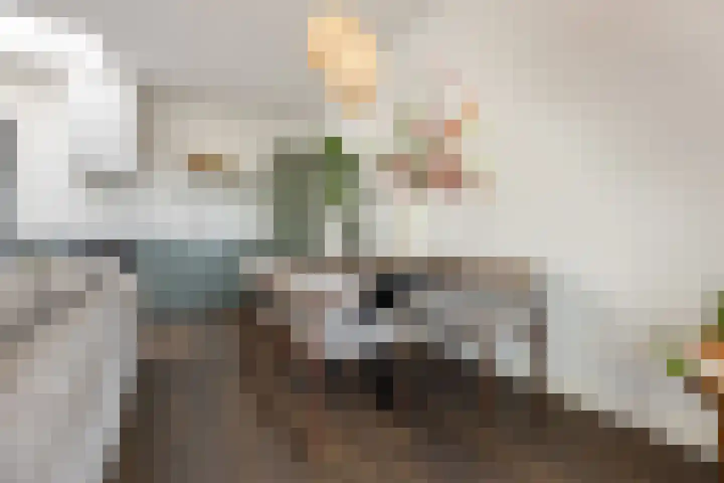 Ds. Van de Woestijnehof 207 Barneveld thumbnail 8