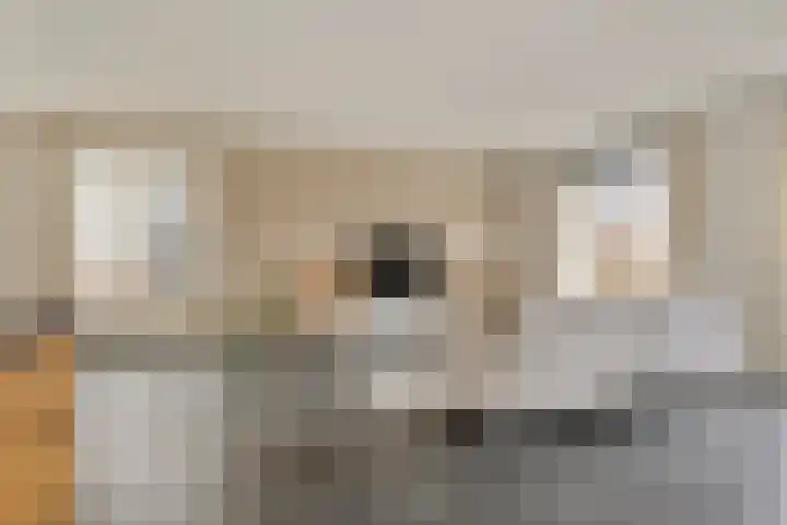 Ds. Van de Woestijnehof 22 Barneveld thumbnail 11