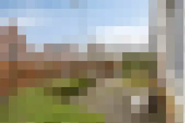 Ds. Van de Woestijnehof 22 Barneveld thumbnail 14