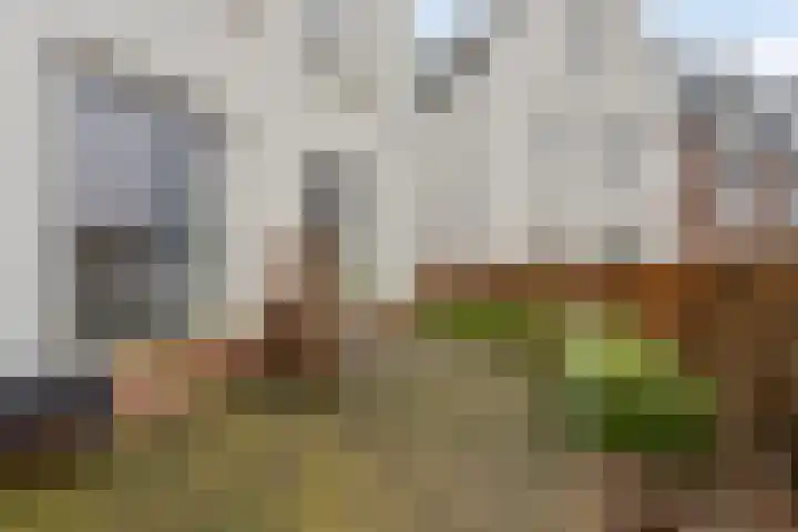 Ds. Van de Woestijnehof 22 Barneveld thumbnail 15