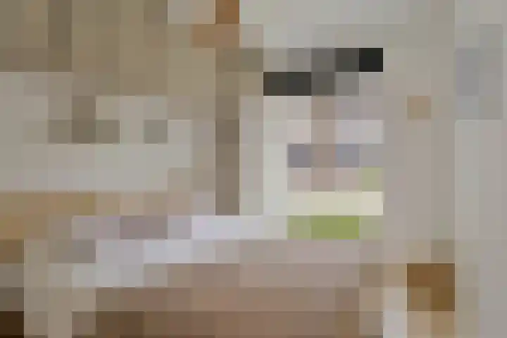 Ds. Van de Woestijnehof 22 Barneveld thumbnail 16