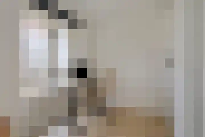 Ds. Van de Woestijnehof 22 Barneveld thumbnail 18