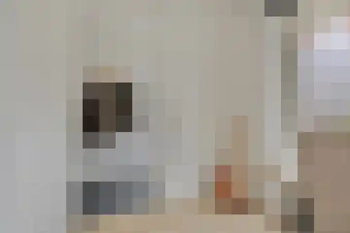Ds. Van de Woestijnehof 22 Barneveld thumbnail 19