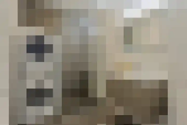 Ds. Van de Woestijnehof 22 Barneveld thumbnail 20