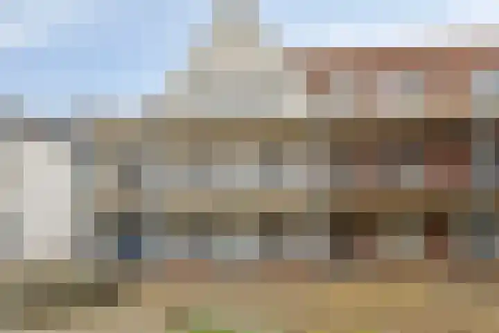 Ds. Van de Woestijnehof 22 Barneveld thumbnail 24