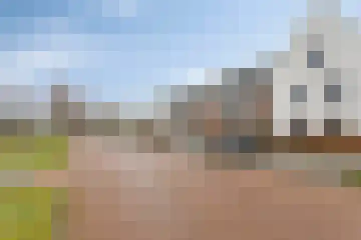 Ds. Van de Woestijnehof 22 Barneveld thumbnail 25