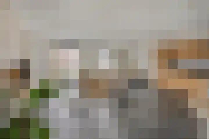 Ds. Van de Woestijnehof 22 Barneveld thumbnail 5