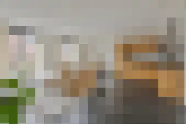 Ds. Van de Woestijnehof 22 Barneveld thumbnail 6