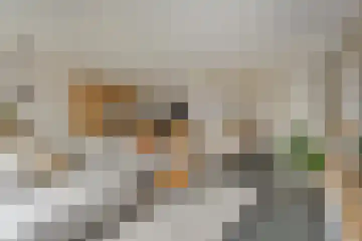 Ds. Van de Woestijnehof 22 Barneveld thumbnail 7