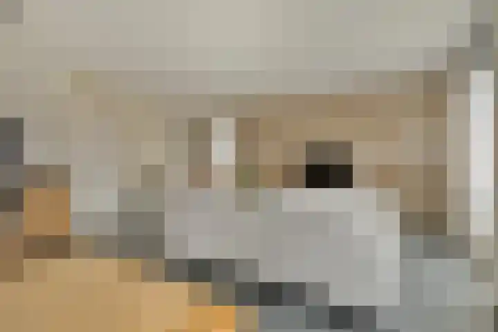 Ds. Van de Woestijnehof 22 Barneveld thumbnail 8