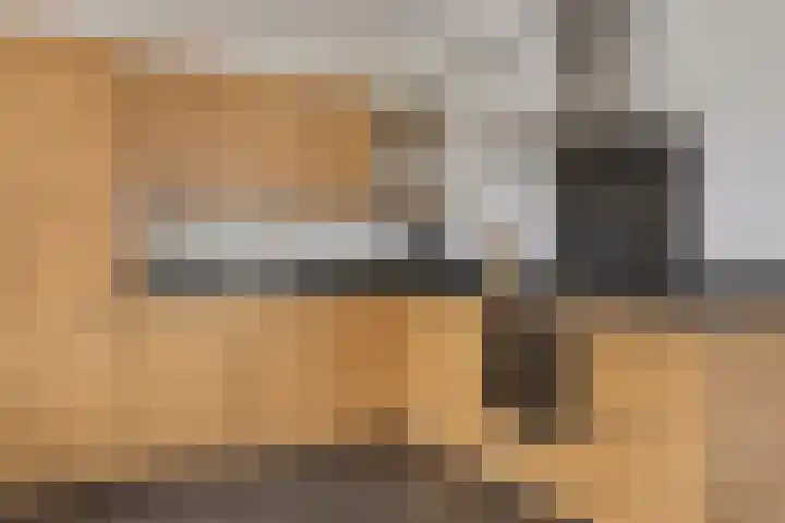 Ds. Van de Woestijnehof 22 Barneveld thumbnail 9