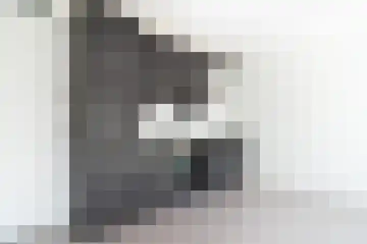 Ds. Van de Woestijnehof 4 Barneveld thumbnail 18