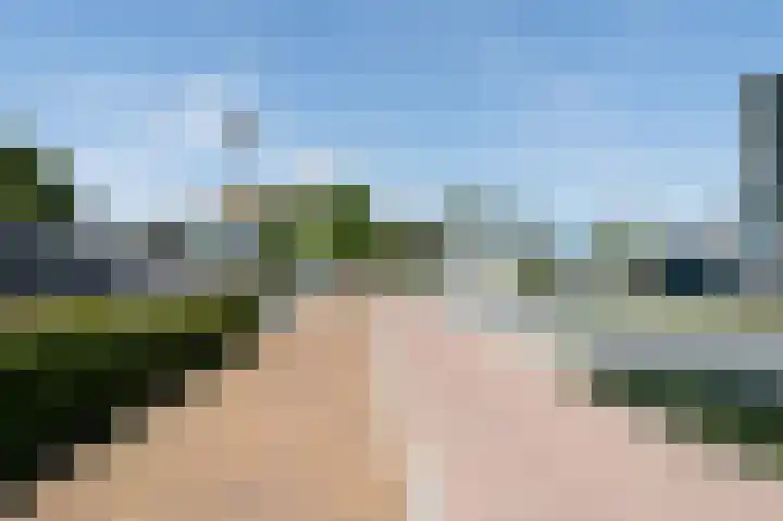Ds. Van de Woestijnehof 4 Barneveld thumbnail 37