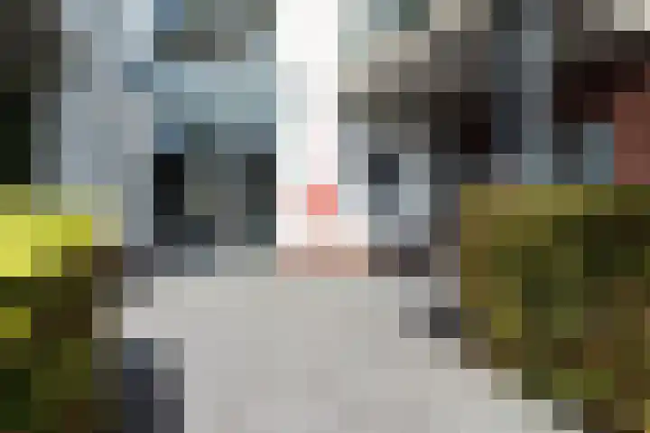 Ds. Van de Woestijnehof 4 Barneveld thumbnail 4