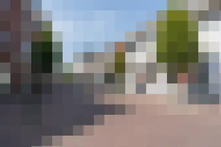 Ds. Van de Woestijnehof 4 Barneveld thumbnail 41