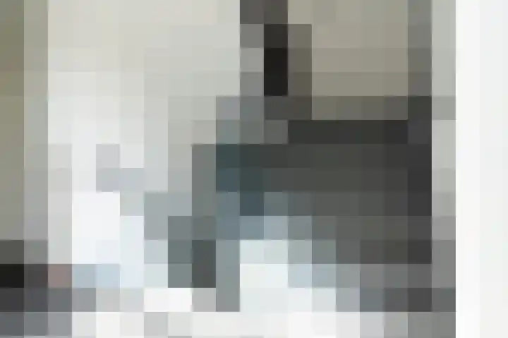 Ds. Van de Woestijnehof 4 Barneveld thumbnail 6