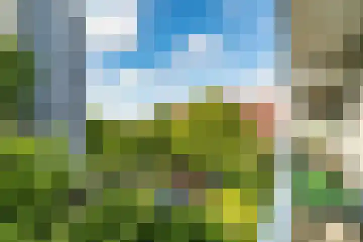 Ds van den Boschlaan 109 Rijswijk thumbnail 10