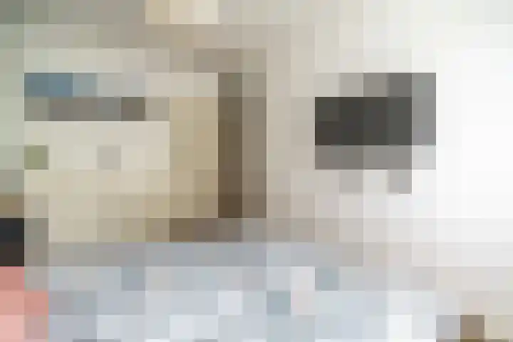 Ds van den Boschlaan 109 Rijswijk thumbnail 32