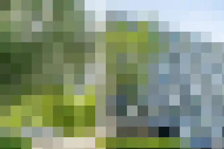Ds van den Boschlaan 109 Rijswijk thumbnail 43