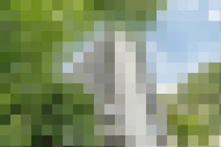 Ds van den Boschlaan 109 Rijswijk thumbnail 50