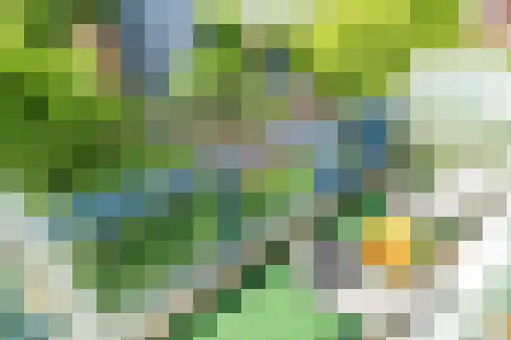 Ds van den Boschlaan 109 Rijswijk thumbnail 8