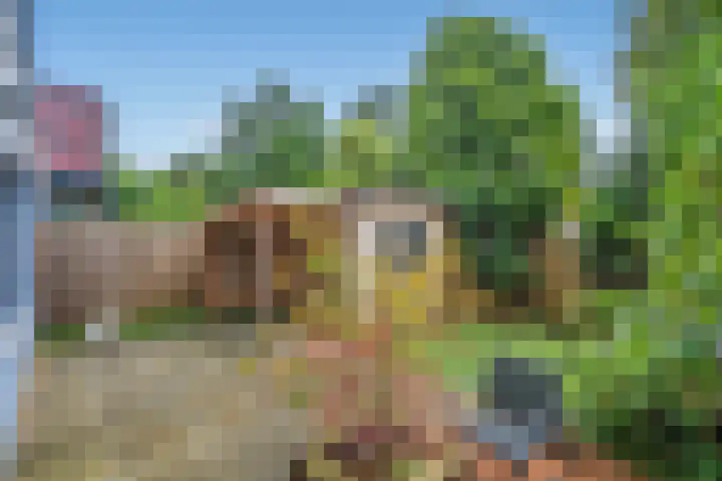Ds van den Boschlaan 11 Rijswijk thumbnail 24