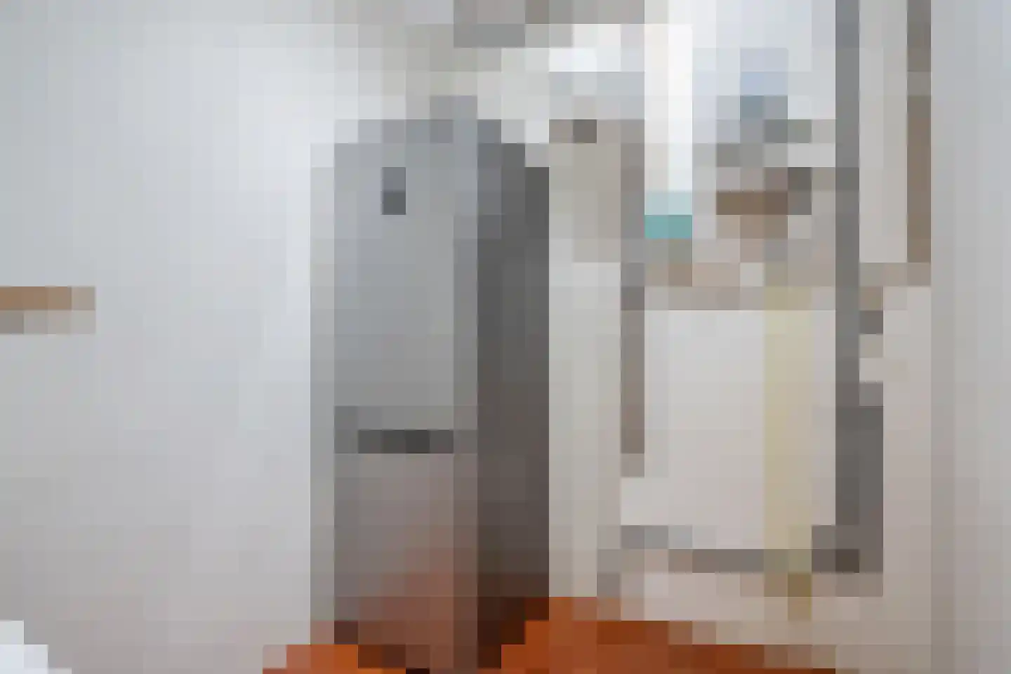 Ds van den Boschlaan 11 Rijswijk thumbnail 26