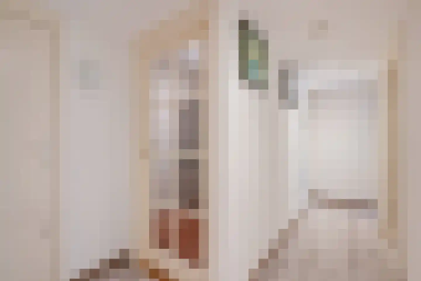 Ds van den Boschlaan 11 Rijswijk thumbnail 8