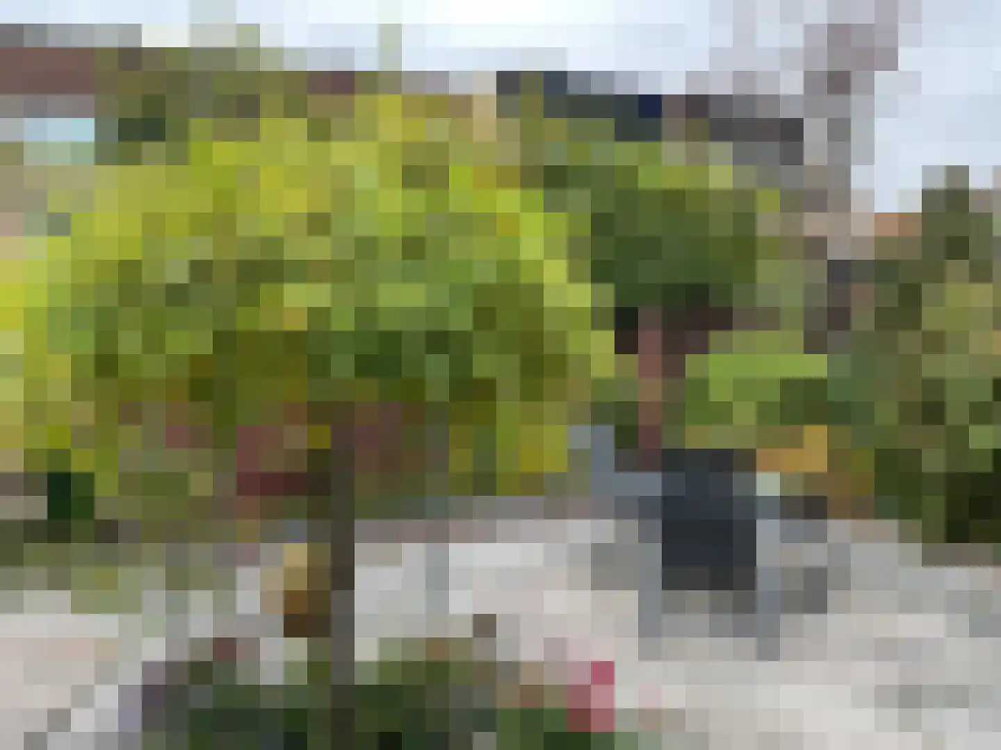 Ds van den Boschlaan 118 Rijswijk thumbnail 19